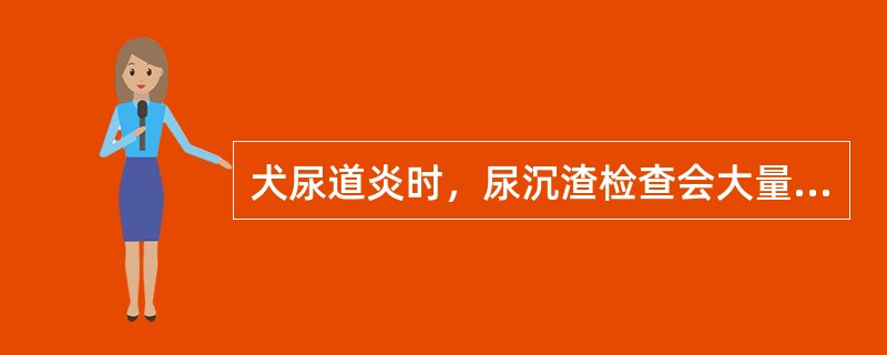 犬尿道炎时，尿沉渣检查会大量出现的细胞是（　　）。