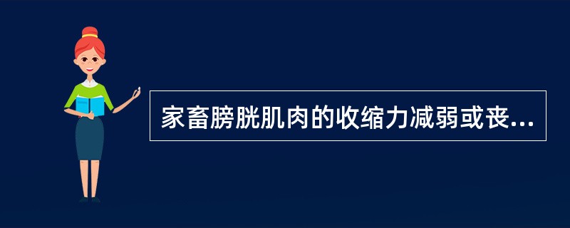 家畜膀胱肌肉的收缩力减弱或丧失，尿液不能随意排出而积滞的一种非炎症性膀胱疾病。临床上以不随意排尿，膀胱充满且无明显疼痛反应为特征疾病是（　　）。