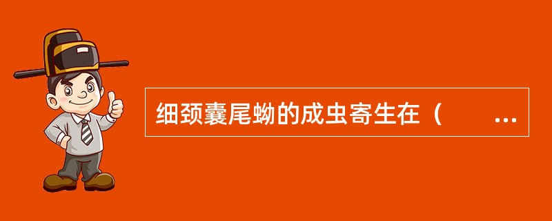 细颈囊尾蚴的成虫寄生在（　　）。