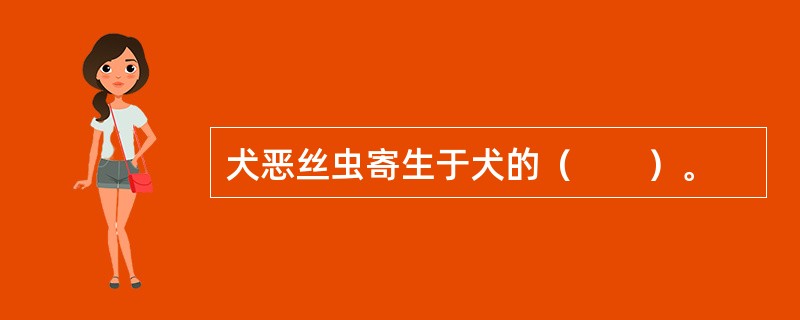 犬恶丝虫寄生于犬的（　　）。