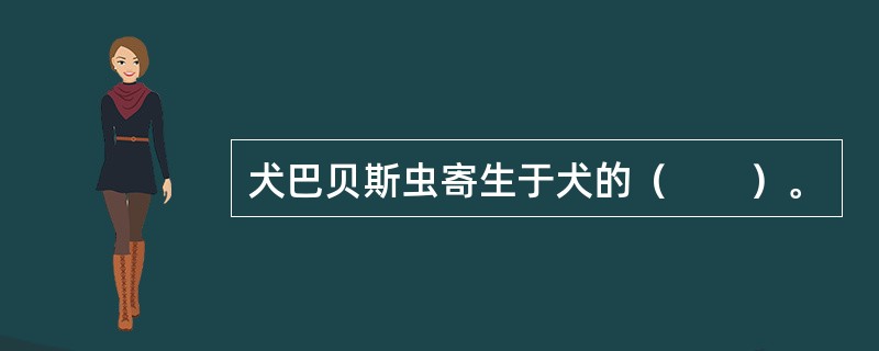 犬巴贝斯虫寄生于犬的（　　）。