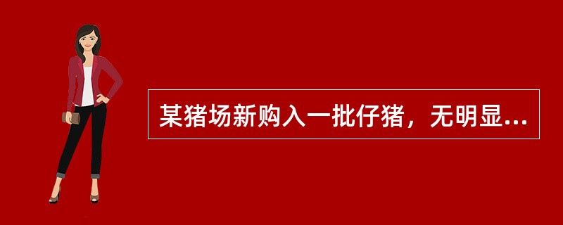 某猪场新购入一批仔猪，无明显临床症状。经实验室检测发现，部分仔猪有猪瘟病毒血症，仔猪免疫猪瘟疫苗后，不能产生抗猪瘟病毒抗体。该病原属于（　　）。 