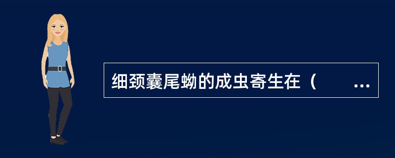 细颈囊尾蚴的成虫寄生在（　　）。