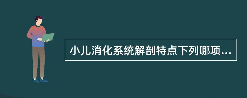 小儿消化系统解剖特点下列哪项不正确