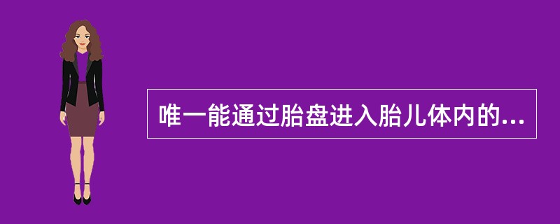 唯一能通过胎盘进入胎儿体内的免疫球蛋白是