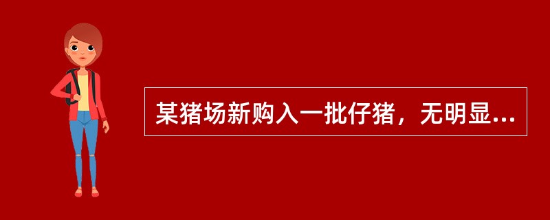 某猪场新购入一批仔猪，无明显临床症状。经实验室检测发现，部分仔猪有猪瘟病毒血症，仔猪免疫猪瘟疫苗后，不能产生抗猪瘟病毒抗体。这种现象临床上称（　　）。 