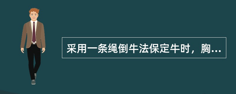 采用一条绳倒牛法保定牛时，胸环应经过（　　）。