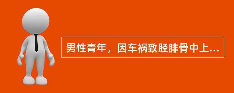 男性青年，因车祸致胫腓骨中上1／3处开放性粉碎性骨折，行彻底清创术，摘除所有的粉碎的骨片，术后行牵引治疗8个月后，骨折仍未愈合，其最可能的原因是