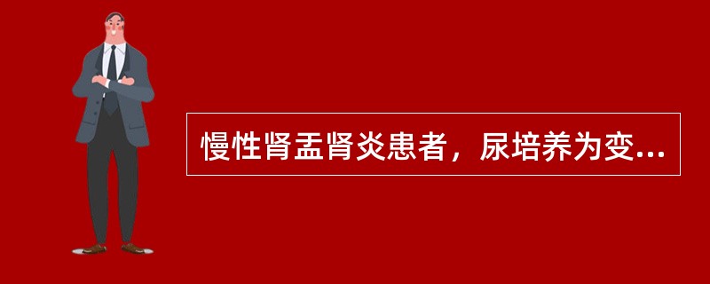 慢性肾盂肾炎患者，尿培养为变形杆菌，尿沉渣白细胞5～10个／HP，经严格内科治疗，症状暂时缓解，但选用敏感抗生素后实验室检查结果均无改善，下一步该采取哪种方法处理