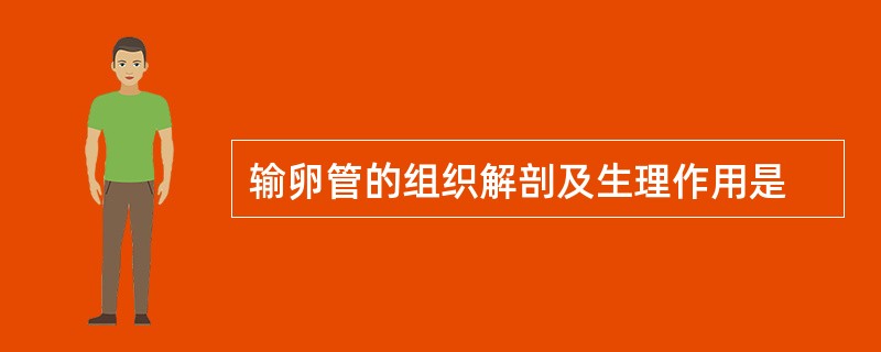 输卵管的组织解剖及生理作用是