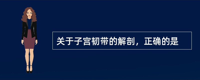 关于子宫韧带的解剖，正确的是