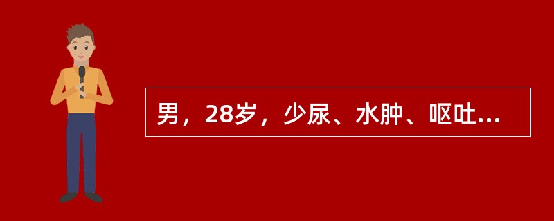 男，28岁，少尿、水肿、呕吐1月余，7岁时曾发现尿蛋白阳性。血压180／120mmHg，尿蛋白（++++），红细胞5～10／HP，白细胞3～5／HP，BUN30mmol／L，血肌酐860μmol／L，