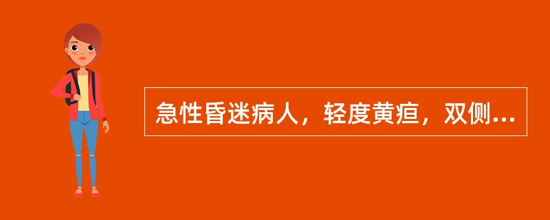 急性昏迷病人，轻度黄疸，双侧肢体肌张力对称性增高，瞳孔等大，尿蛋白及糖定性均阴性。下列哪项最可能