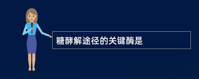 糖酵解途径的关键酶是