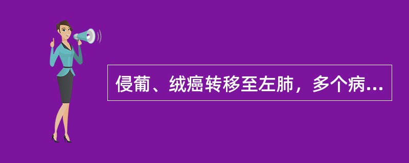 侵葡、绒癌转移至左肺，多个病灶总面积占左肺的1／3