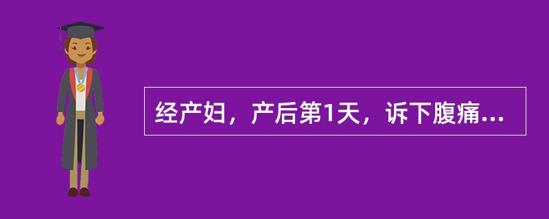 经产妇，产后第1天，诉下腹痛。查有低热，出汗，咽不充血，无恶心呕吐、腹泻，脐下二横指处触及一硬块上界，白细胞10×109／L，中性0.75，最可能的诊断是