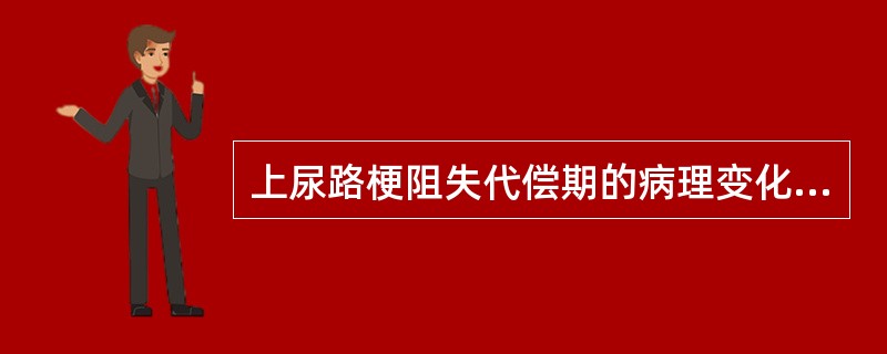 上尿路梗阻失代偿期的病理变化，不包括