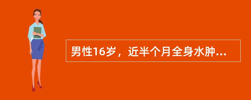 男性16岁，近半个月全身水肿，检查尿蛋白（+++），透明管型2～3／HP，血红蛋白12g／L，血压正常，24小时尿蛋白>3.5g，最可能诊断是