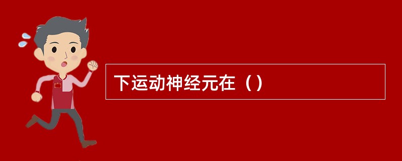 下运动神经元在() 下运动神经元在()