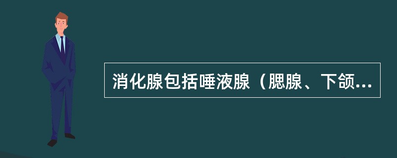 消化腺包括唾液腺（腮腺、下颌下腺、舌下腺）、肝、胆囊、胰以及散在于消化管管壁内的小腺体。（）