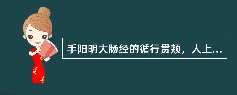 手阳明大肠经的循行贯颊，人上齿中。（）