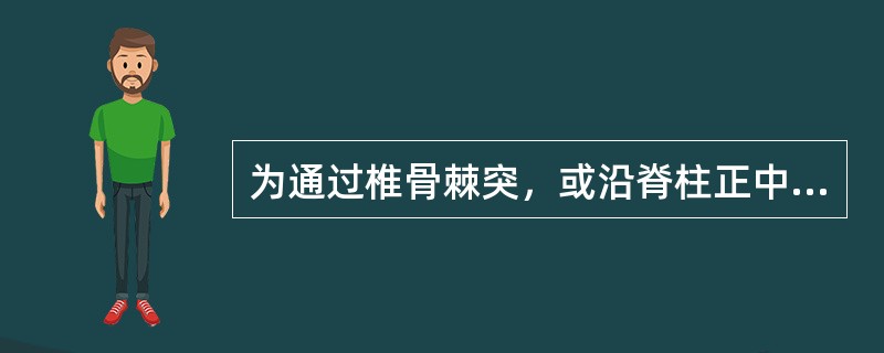 为通过椎骨棘突，或沿脊柱正中下行的垂直线（）