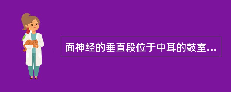 面神经的垂直段位于中耳的鼓室。（）