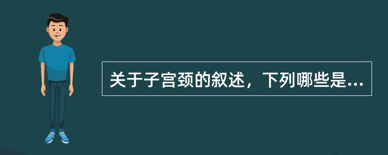 关于子宫颈的叙述，下列哪些是正确的（）