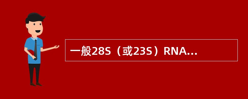 一般28S（或23S）RNA的荧光强度约为18S（或16S）RNA的几倍，否则提示有RNA的降解（）