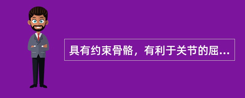 具有约束骨骼，有利于关节的屈伸运动的是（）