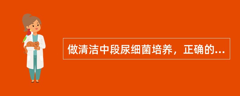 做清洁中段尿细菌培养，正确的是（）