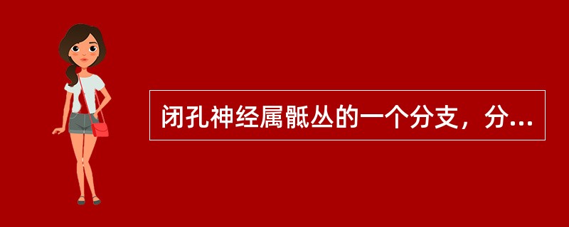 闭孔神经属骶丛的一个分支，分布于大腿内侧群肌和大腿内侧面的皮肤。（）