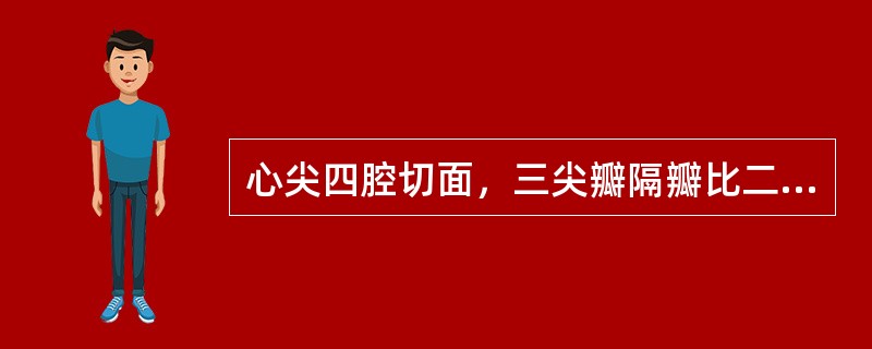 心尖四腔切面，三尖瓣隔瓣比二尖瓣前瓣高5～10mm。（）