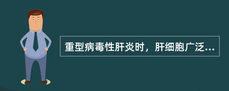 重型病毒性肝炎时，肝细胞广泛发生（）