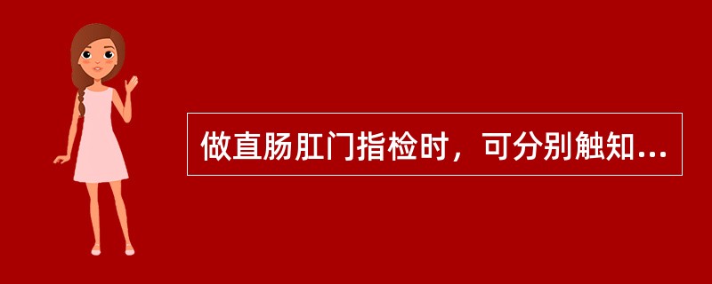 做直肠肛门指检时，可分别触知女性的子宫颈外口及阴道后壁。（）