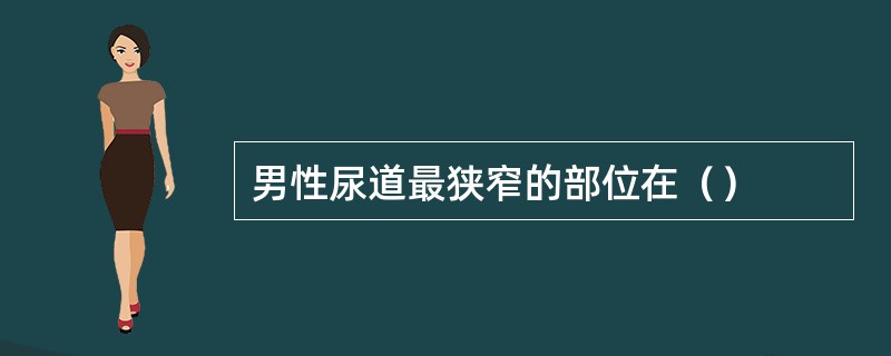 男性尿道最狭窄的部位在（）