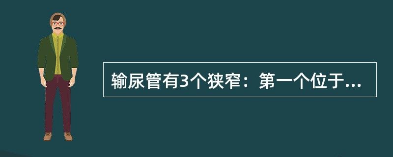 输尿管有3个狭窄：第一个位于输尿管起始处；第二个在跨过髂血管处；第三个是贯穿膀胱壁处。（）