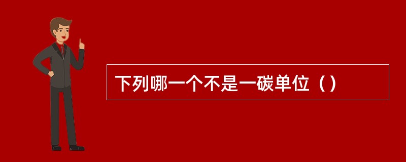 下列哪一个不是一碳单位（）