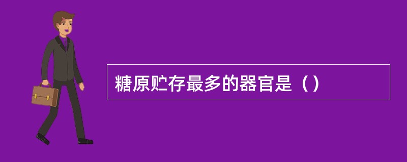 糖原贮存最多的器官是（）