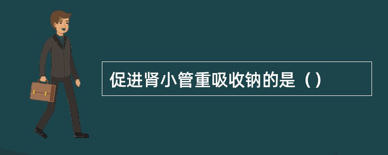 促进肾小管重吸收钠的是（）