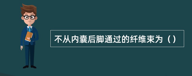 不从内囊后脚通过的纤维束为（）