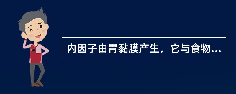 内因子由胃黏膜产生，它与食物中的维生素B12结合在胃内吸收，缺乏内因子可导致巨幼红细胞性贫血。（）