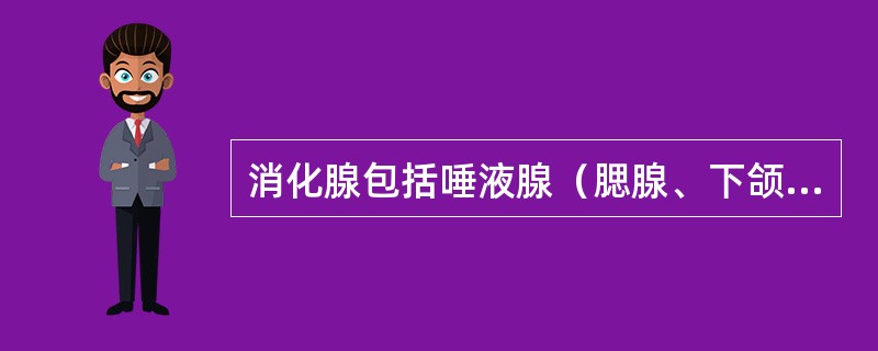 消化腺包括唾液腺（腮腺、下颌下腺、舌下腺）、肝、胆囊、胰以及散在于消化管管壁内的小腺体。（）