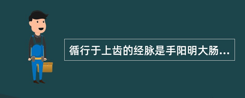 循行于上齿的经脉是手阳明大肠经。（）