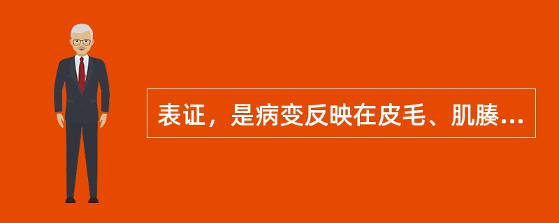 表证，是病变反映在皮毛、肌腠、经络的证候。（）