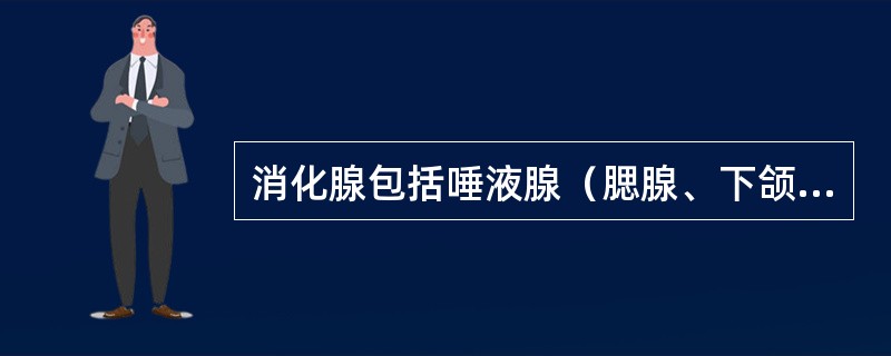 消化腺包括唾液腺（腮腺、下颌下腺、舌下腺）、肝、胆囊、胰以及散在于消化管管壁内的小腺体。（）