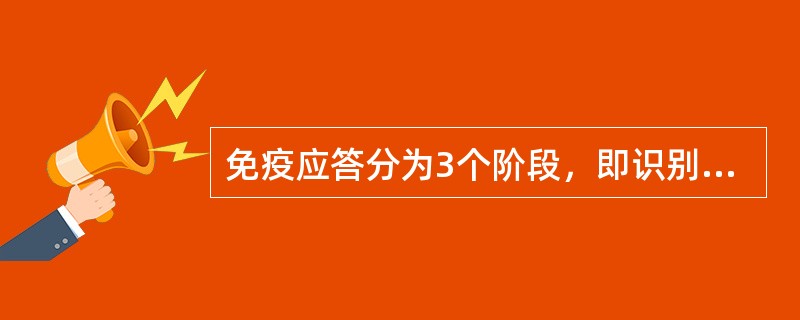 免疫应答分为3个阶段，即识别阶段，淋巴细胞活化、分化增殖阶段以及效应阶段。（）