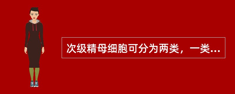 次级精母细胞可分为两类，一类含X性染色体，一类含Y性染色体。（）