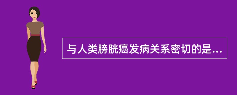 与人类膀胱癌发病关系密切的是（）