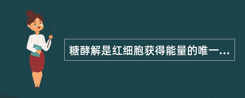 糖酵解是红细胞获得能量的唯一方式。（）